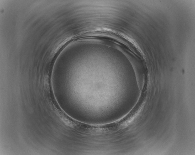 X0000063530881200601201455