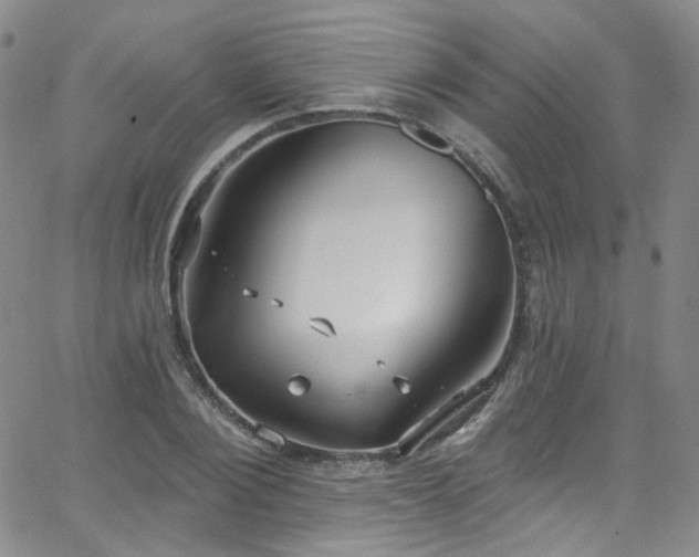 X0000063530884200601201455