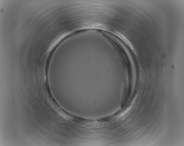 X0000063530885200601201455