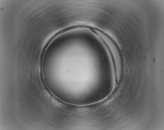 X0000063530888200601201455