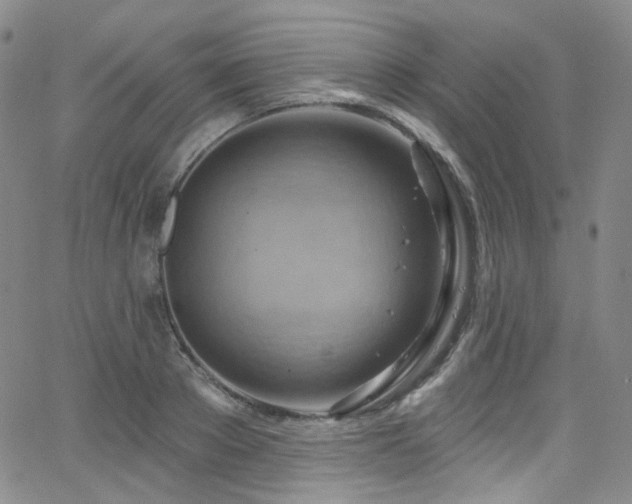 X0000063530889200601201455