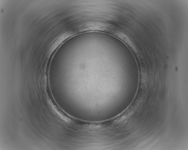 X0000063530890200601201455