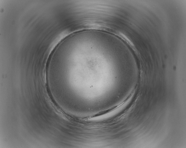 X0000063530891200601201455