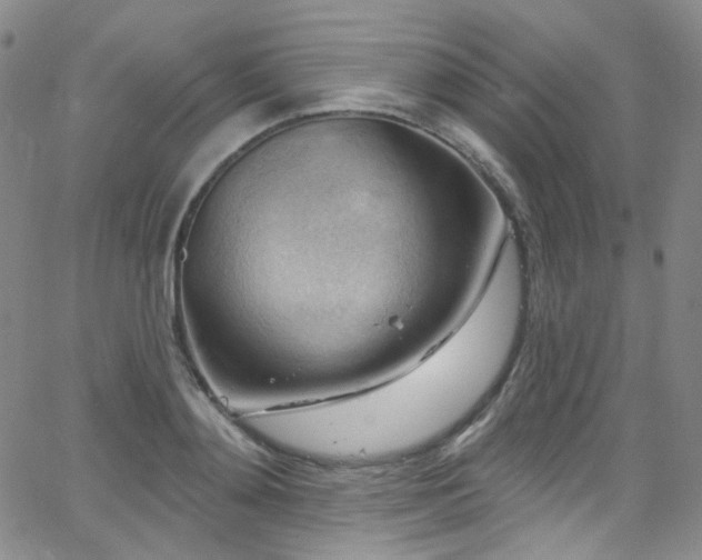 X0000063530892200601201455