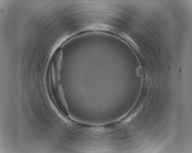 X0000063530893200601201455