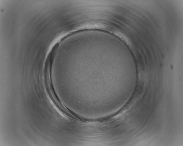 X0000063530894200601201455