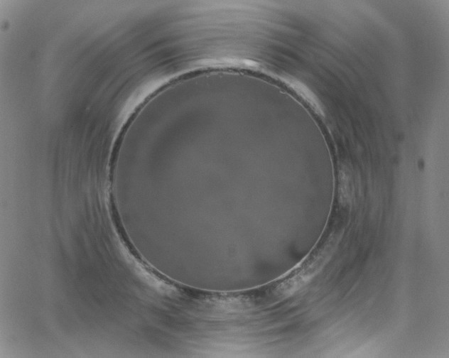 X0000063530895200601201455