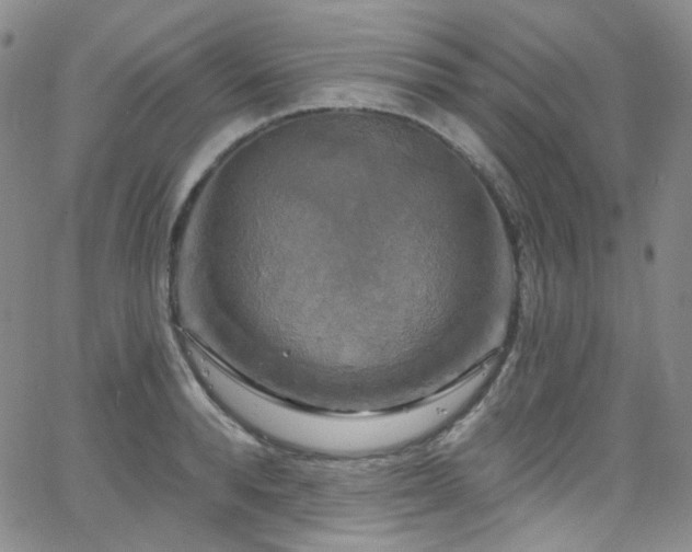 X0000063530896200601201455