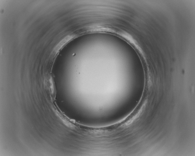 X0000063530897200601201455