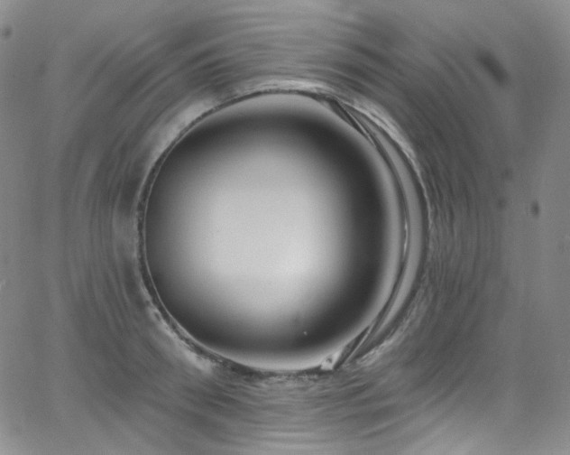 X0000063530898200601201455