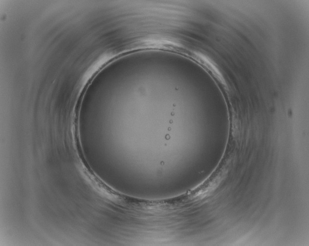 X0000063530899200601201455