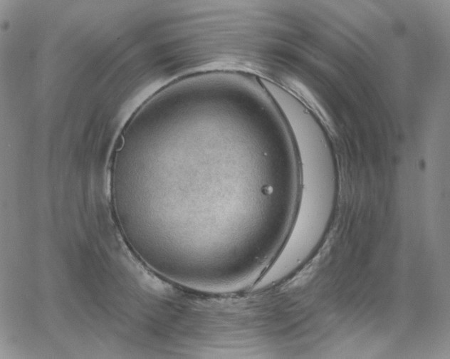 X0000063530900200601201455