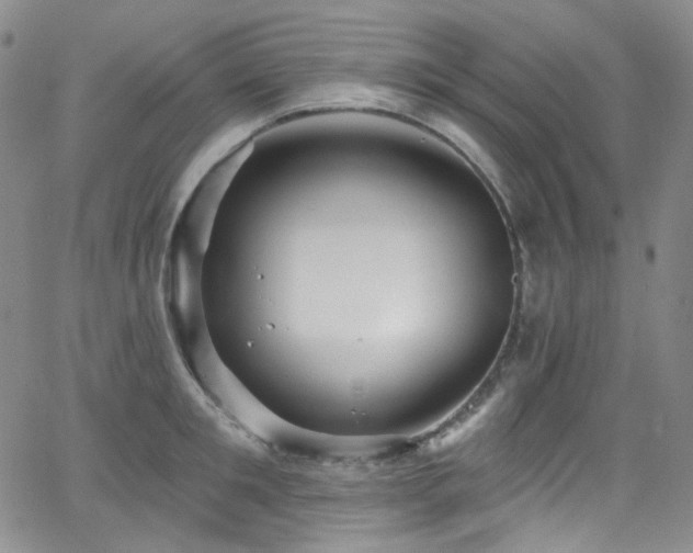 X0000063530901200601201455