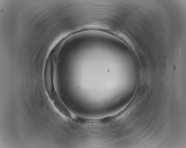 X0000063530902200601201455