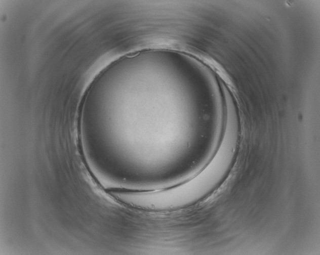 X0000063530904200601201455