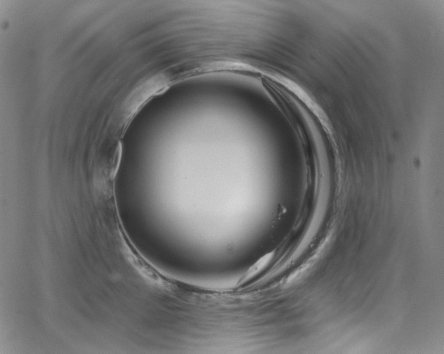 X0000063530905200601201455