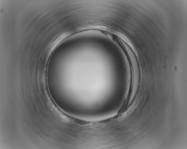 X0000063530906200601201455