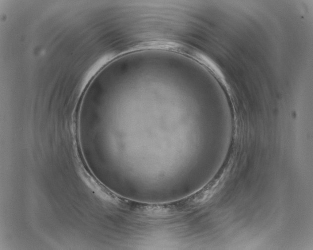 X0000063530907200601201455