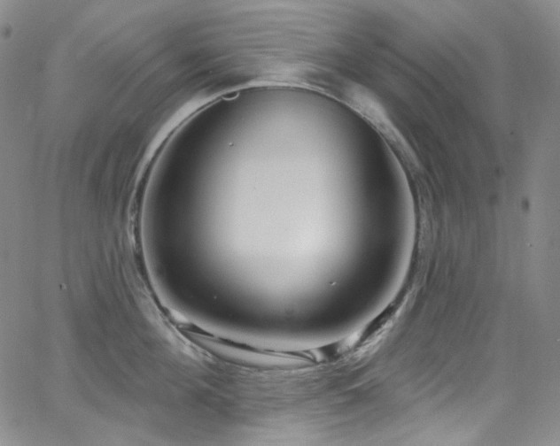 X0000063530908200601201455