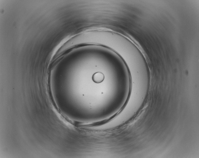 X0000063530909200601201455