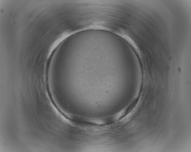 X0000063530910200601201455