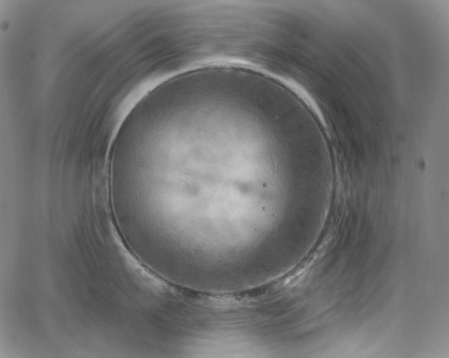 X0000063530911200601201455