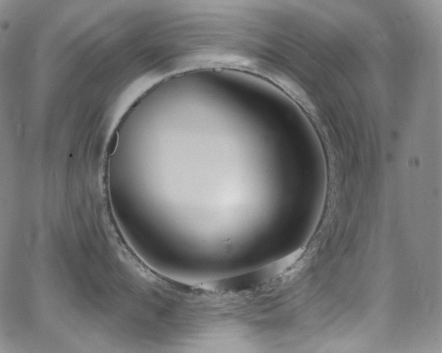 X0000063530912200601201455