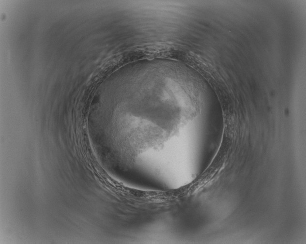 X0000063530913200601201454