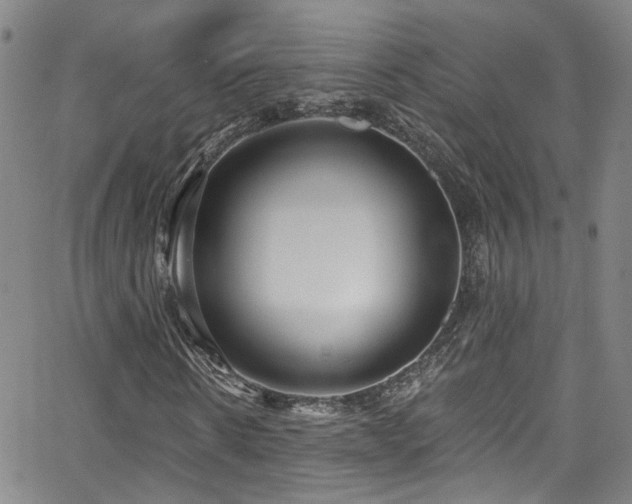 X0000063530914200601201454