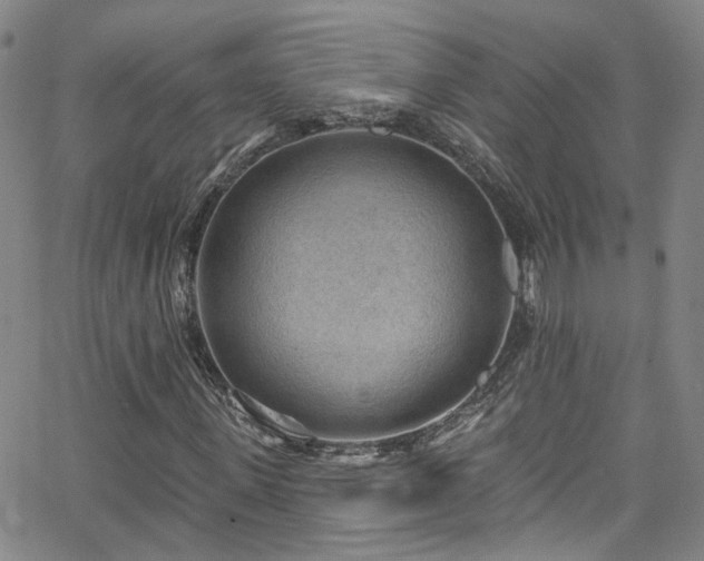 X0000063530915200601201454