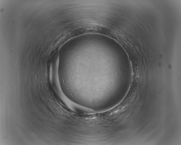 X0000063530916200601201454