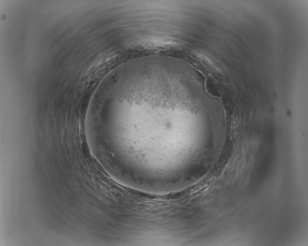 X0000063530917200601201454