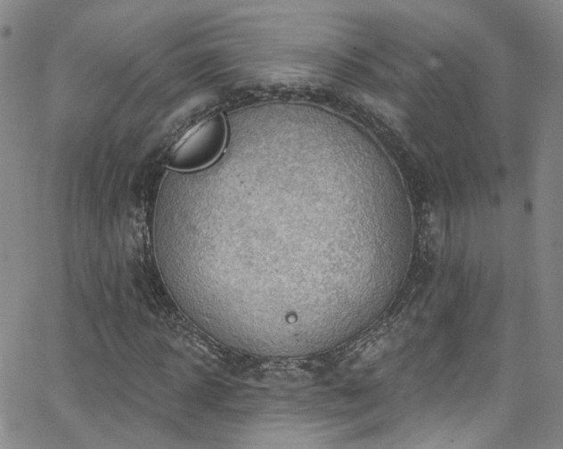 X0000063530918200601201454