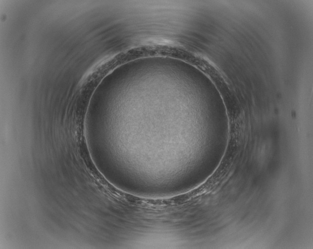 X0000063530919200601201454