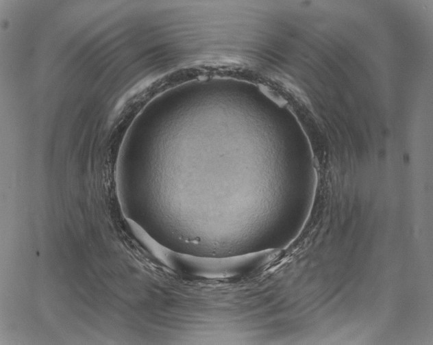 X0000063530920200601201454