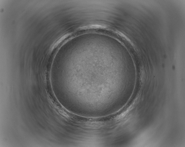 X0000063530921200601201454