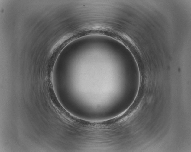 X0000063530922200601201454