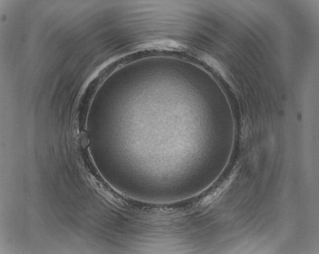 X0000063530923200601201454