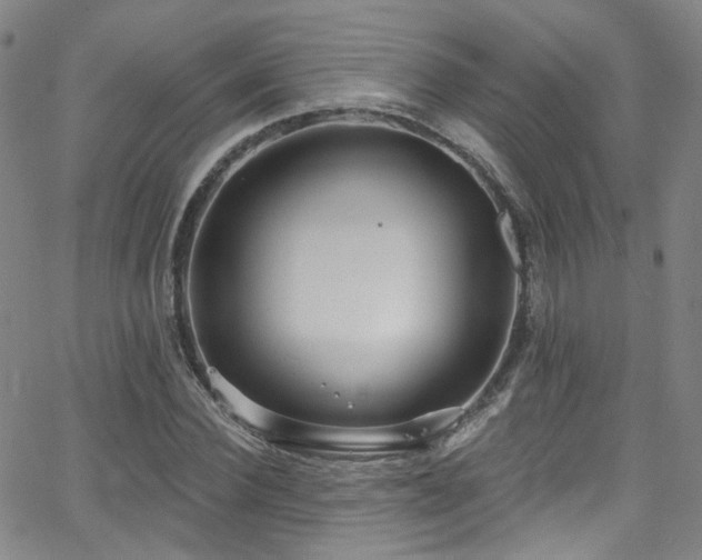 X0000063530924200601201454