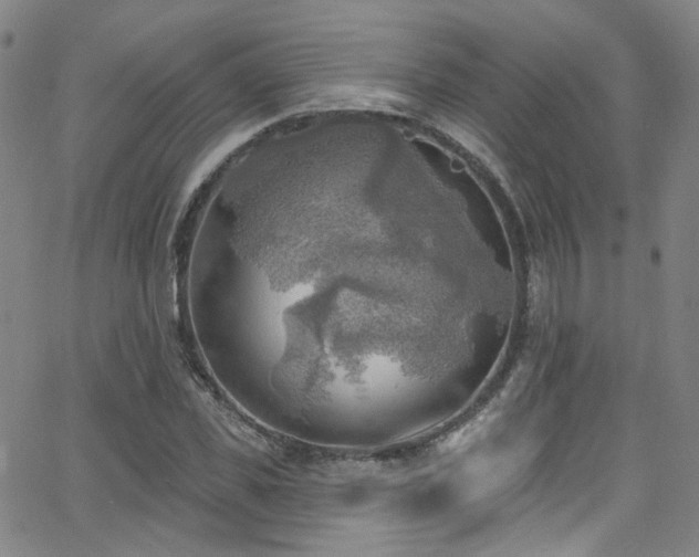 X0000063530925200601201454