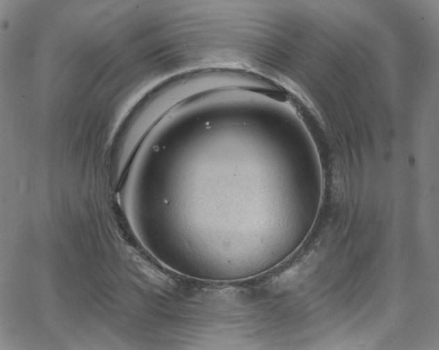 X0000063530926200601201454