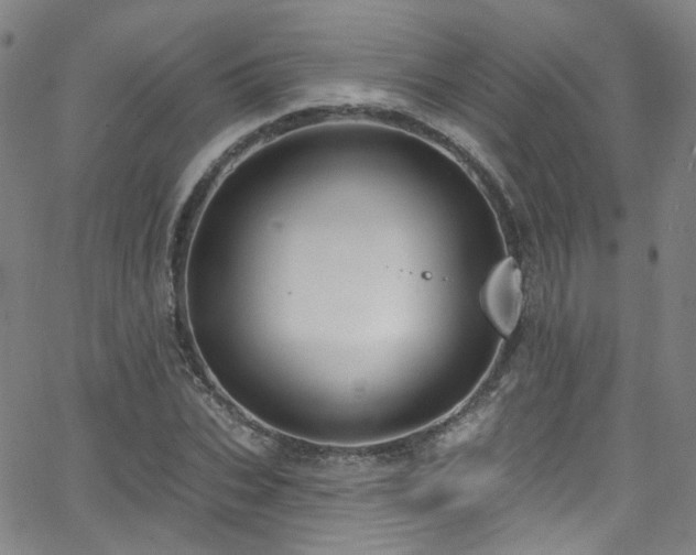 X0000063530927200601201454