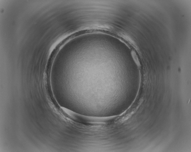 X0000063530928200601201454