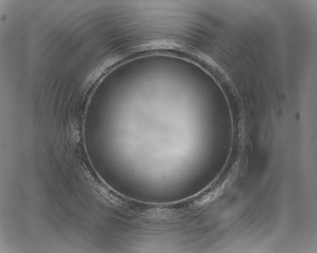 X0000063530929200601201454