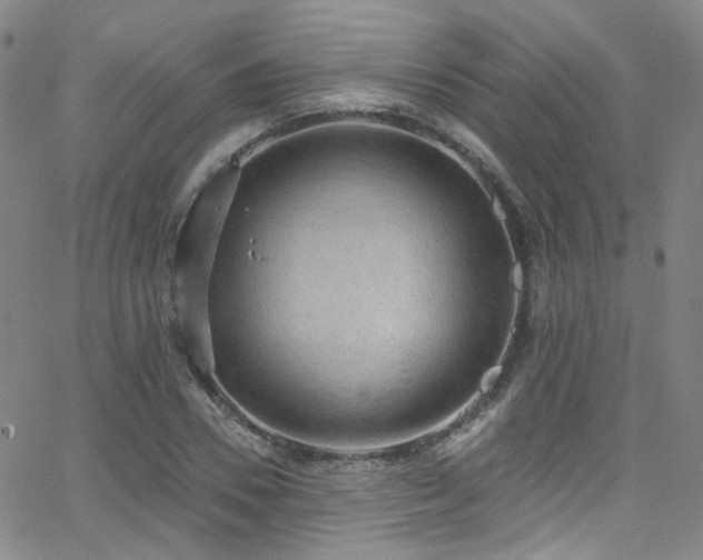 X0000063530930200601201454