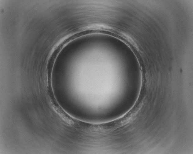 X0000063530931200601201454