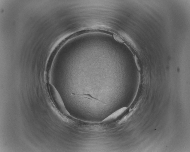 X0000063530932200601201454