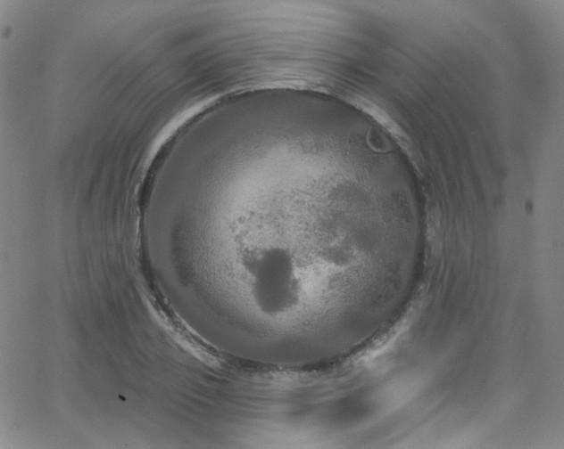 X0000063530933200601201454