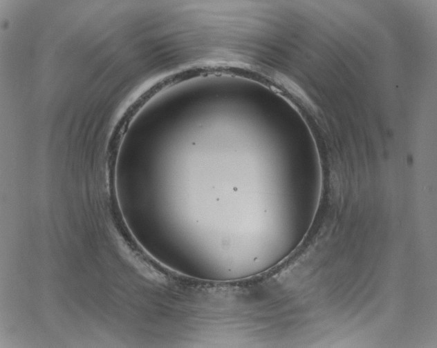 X0000063530934200601201454