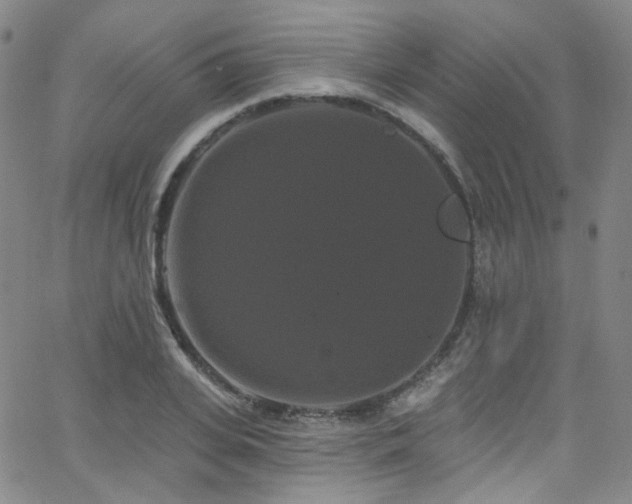 X0000063530935200601201454